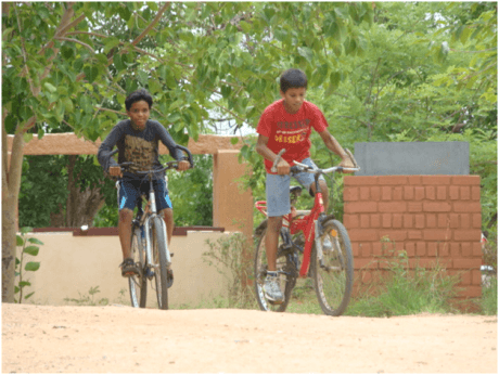 Peepal Grove - Right Track