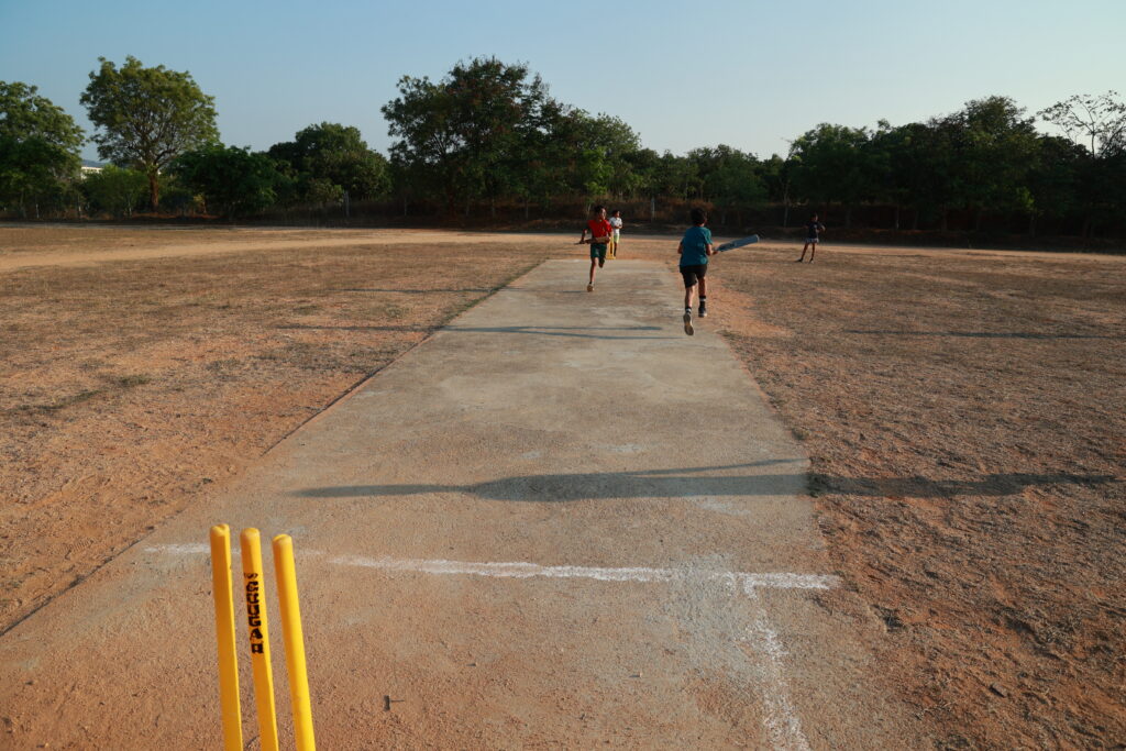 Cricket Pitch